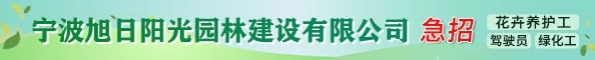 旭日阳光半通栏