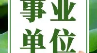 宁波市北仑区大桥管理服务有限公司   桥梁管理岗位招聘启事