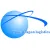 宁波龙星物流有限公司的logo