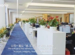 公司环境